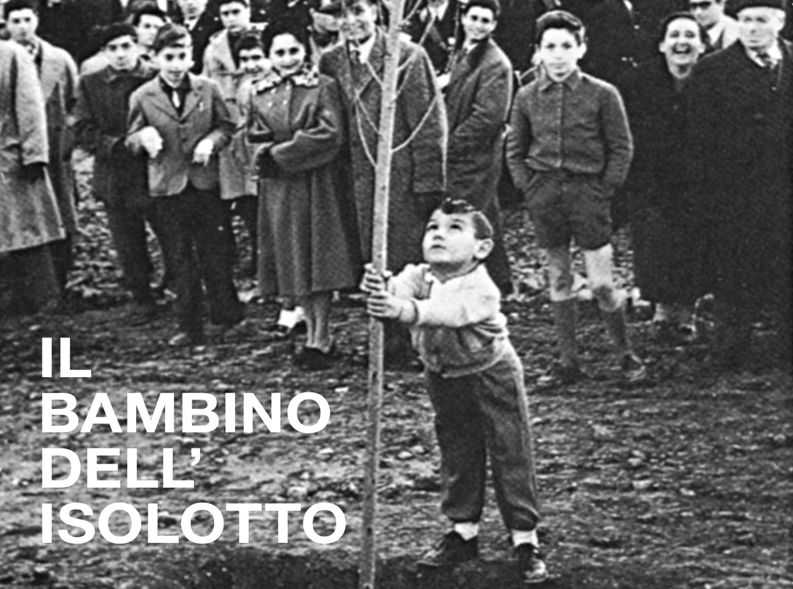 BAMBINO_ISOLOTTO